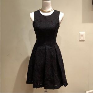 Structured Lace Flare Dress